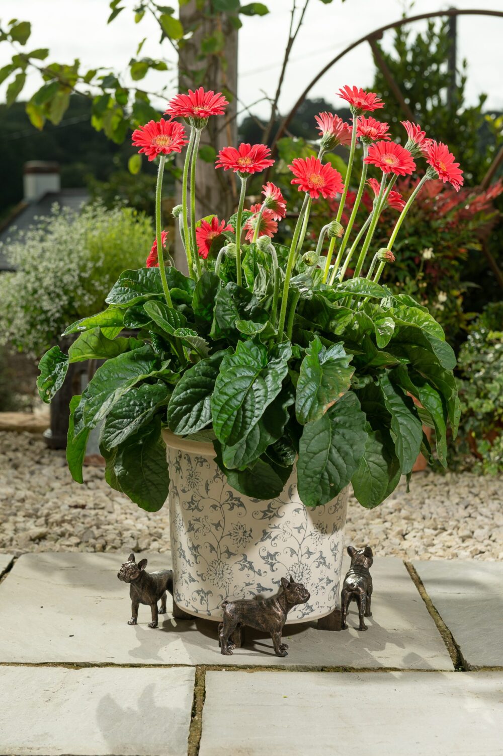 French Bulldog Potty Feet and Pot Buddy - Image 4