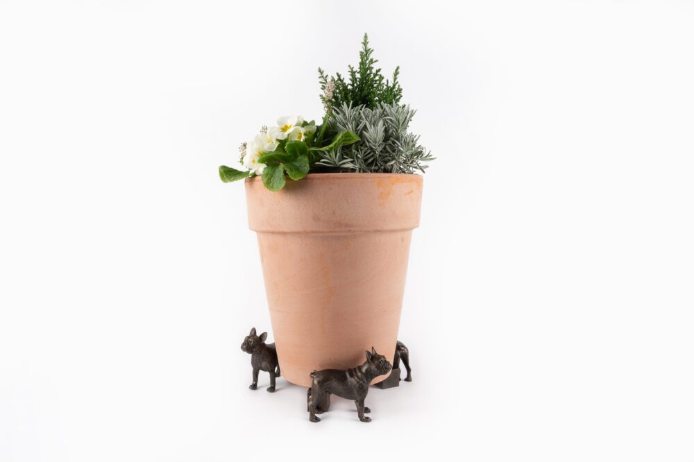 French Bulldog Potty Feet and Pot Buddy - Image 3
