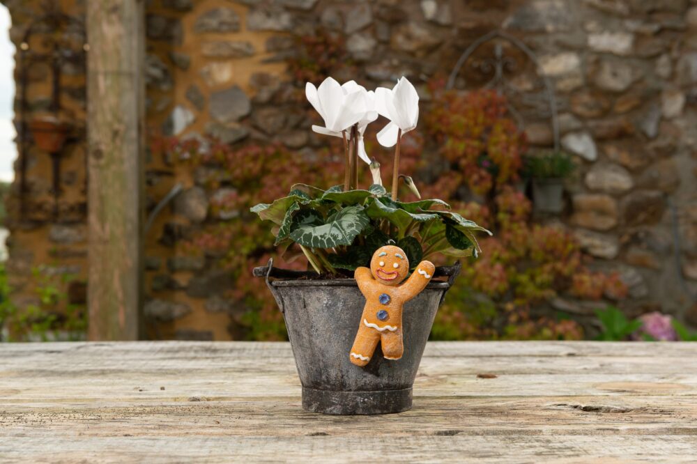 Christmas Set of 5 Pot Buddies - Image 22