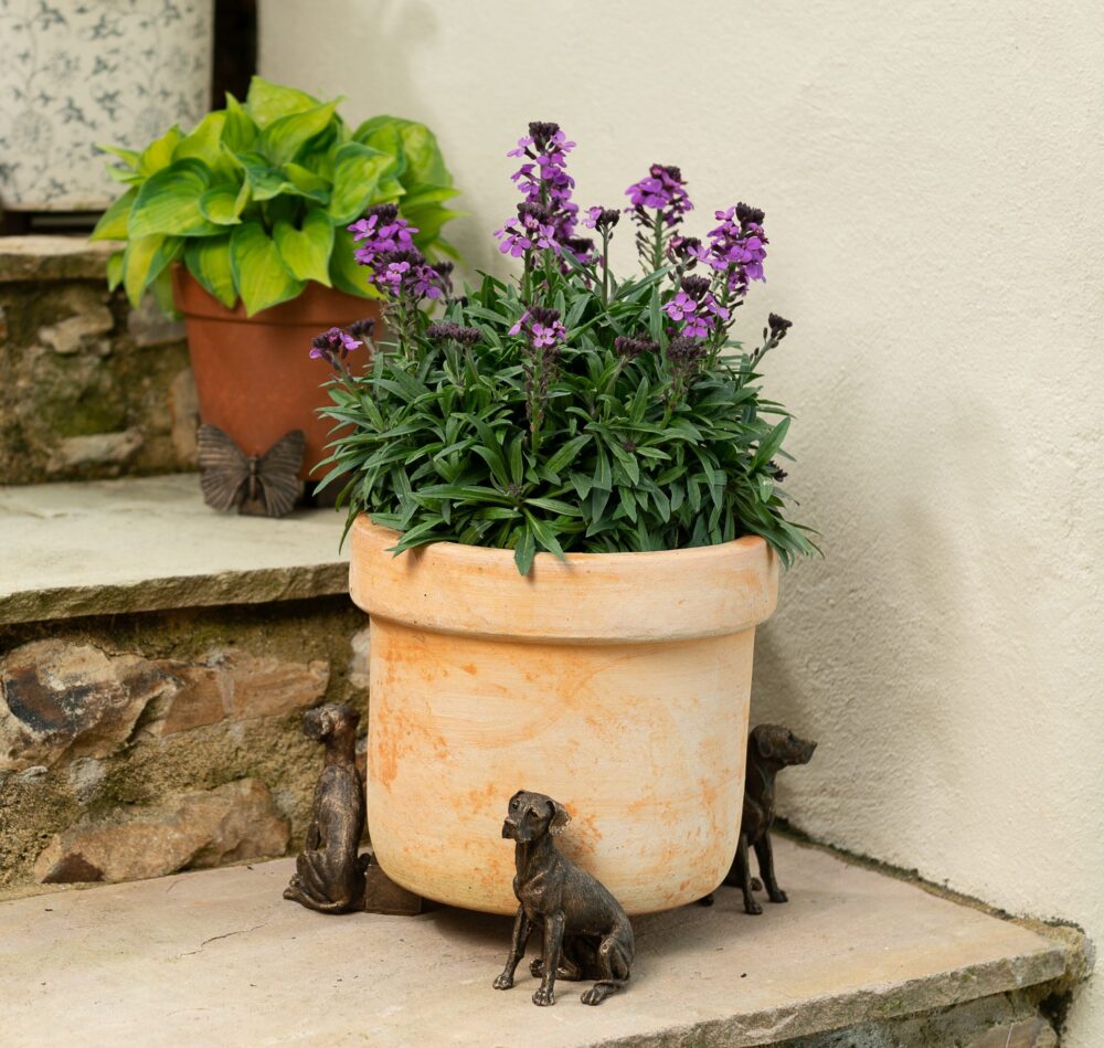 Great Dane Plant Pot Feet - Set of 3 - Image 9