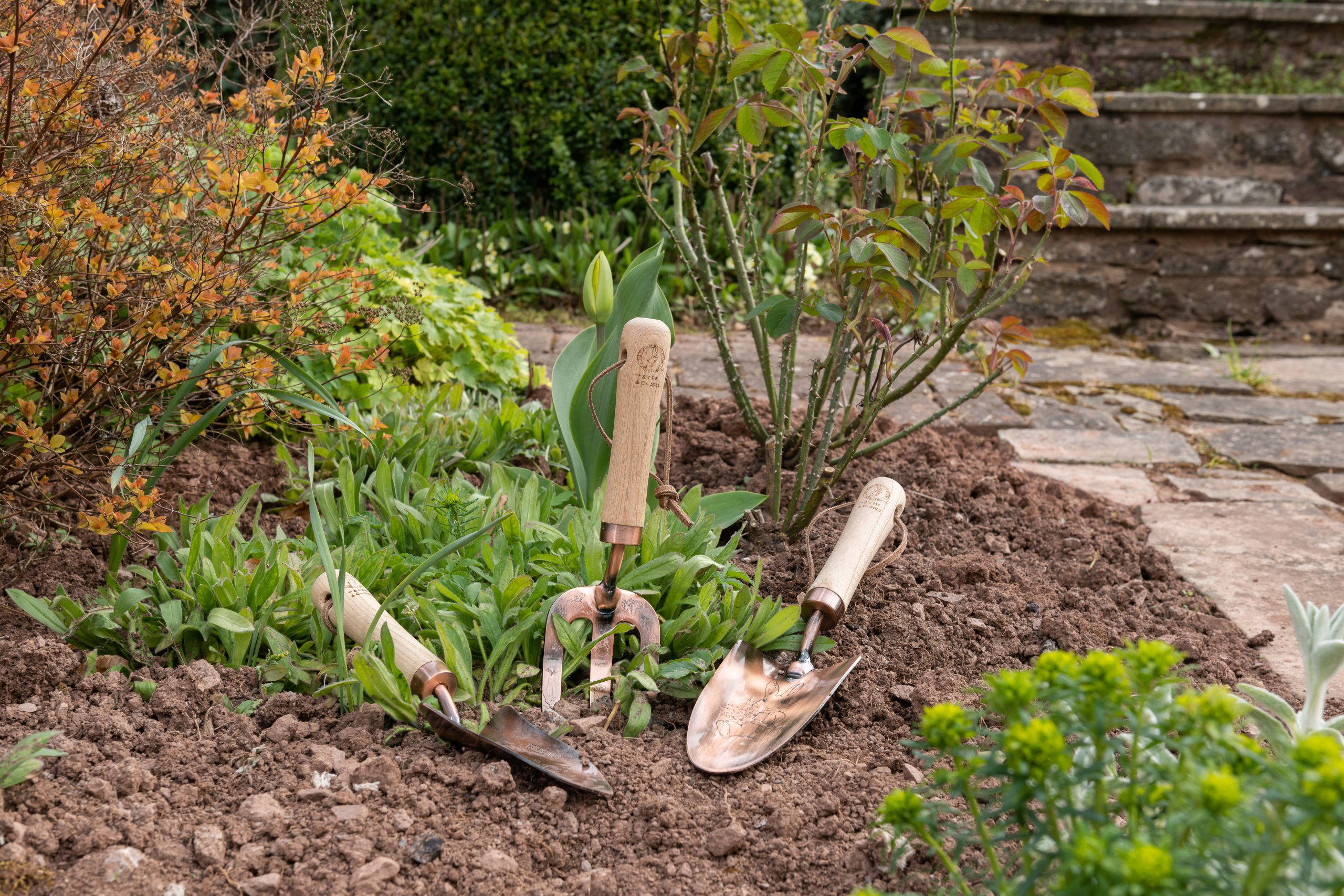 Beatrix Potter Peter Rabbit Gardening Tool Gift Set - Image 2