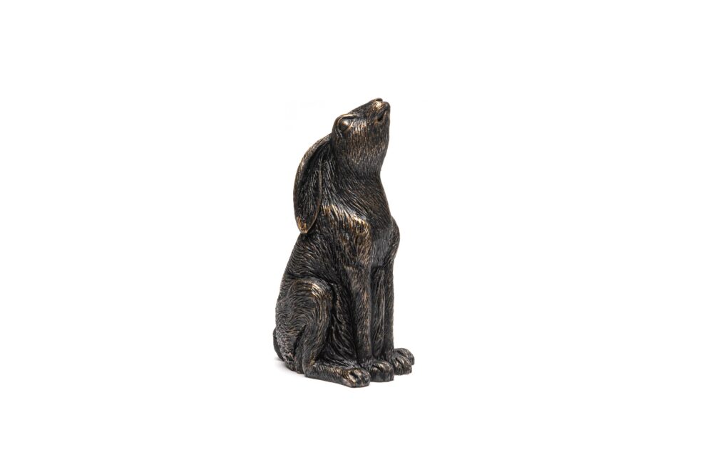 Moon Gazing Hare Potty Feet and Cane Companion Bundle Set - Image 4
