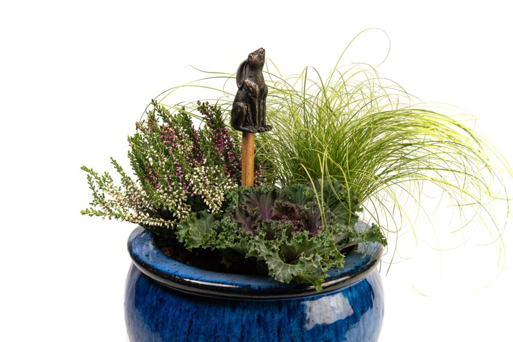 Moon Gazing Hare Potty Feet and Cane Companion Bundle Set - Image 3