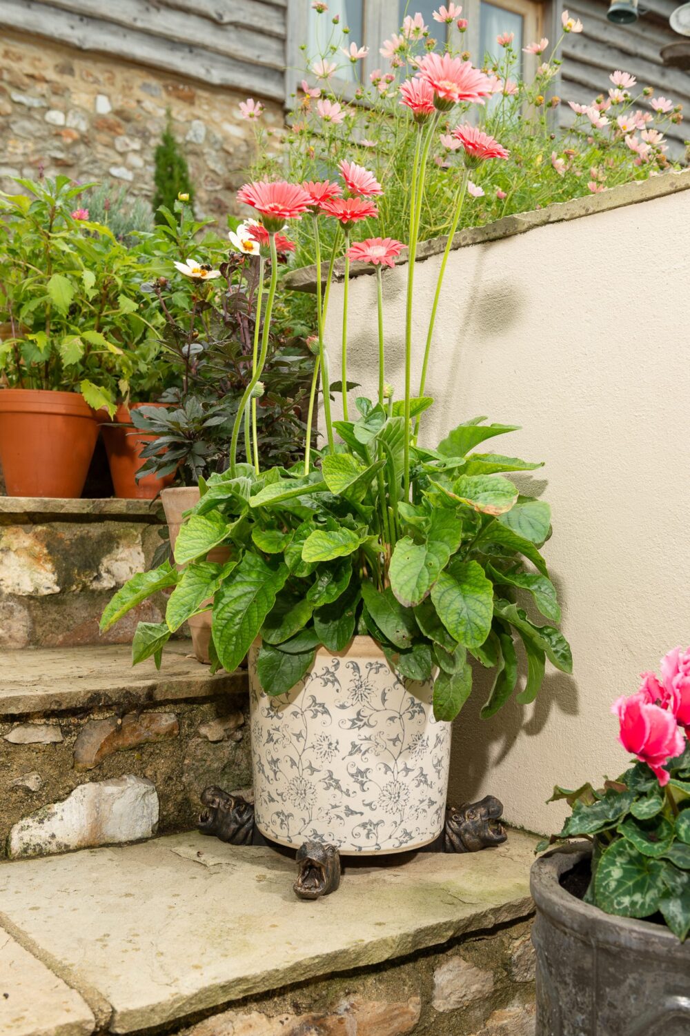Hippopotamus Hippo Plant Pot Feet - Set of 3 - Image 7
