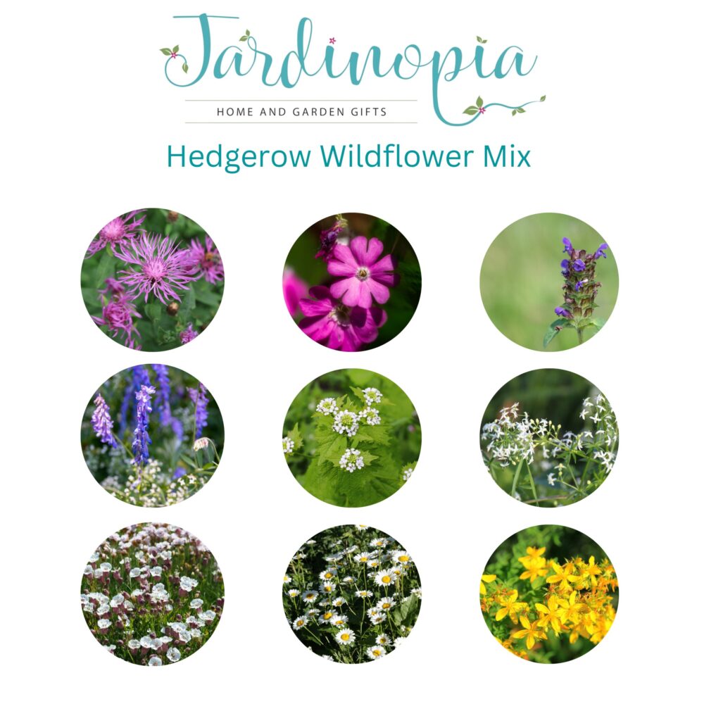 Beatrix Potter Wildflowers Seed Ball Tin Collection - Mrs Tittlemouse (Hedgerow Wildflower Mix) - Image 3