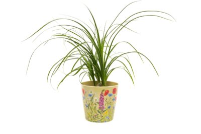 Bamboo Eco-Pot Iona Buchanan Meadow - Set of 3 - 3  colours