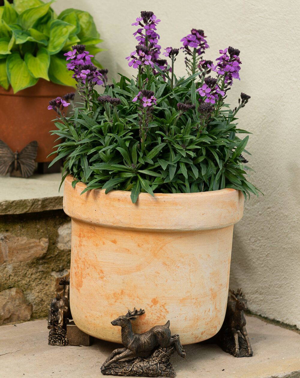 Leaping Stag Plant Pot Feet - Set of 3 - Image 7