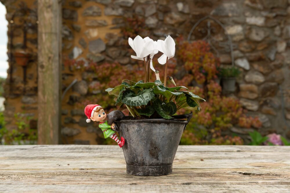 Christmas Set of 5 Pot Buddies - Image 19
