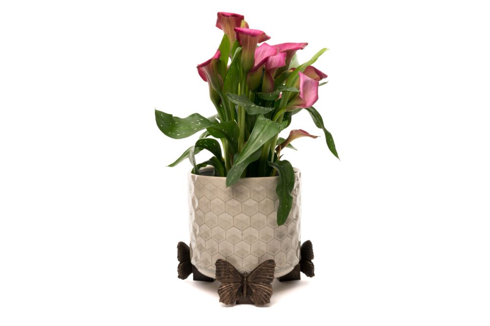 Butterfly Potty Feet and Cane Companion Bundle Set - Image 7