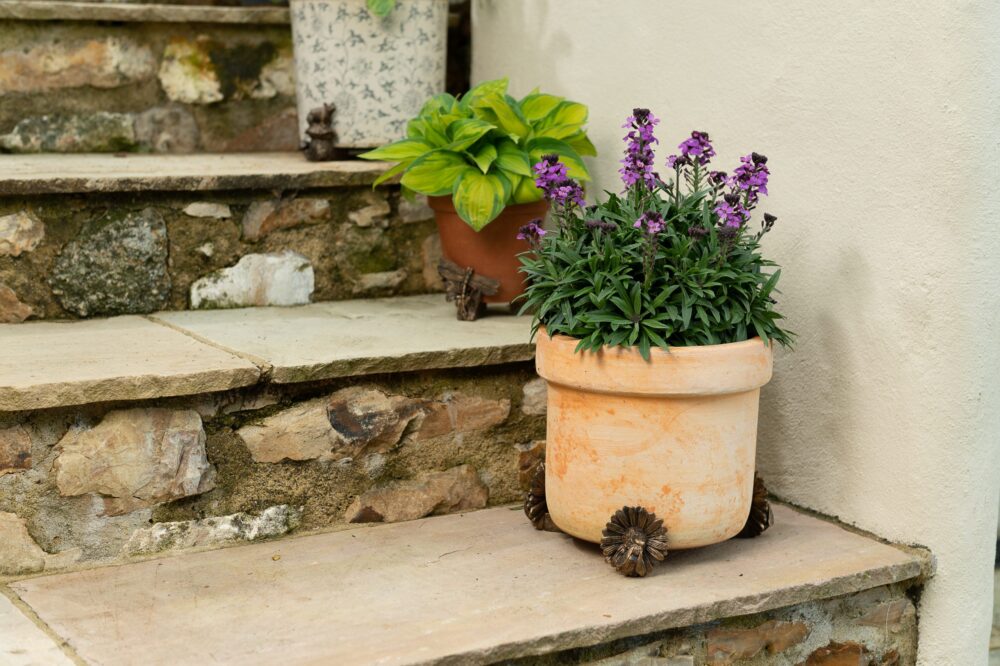 Bee Potty Feet and Cane Companion Bundle Set - Image 5