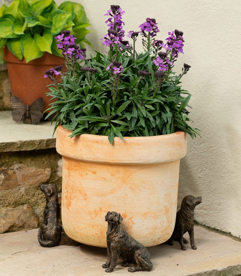 Retriever Plant Pot Feet - Set of 3 - Image 8
