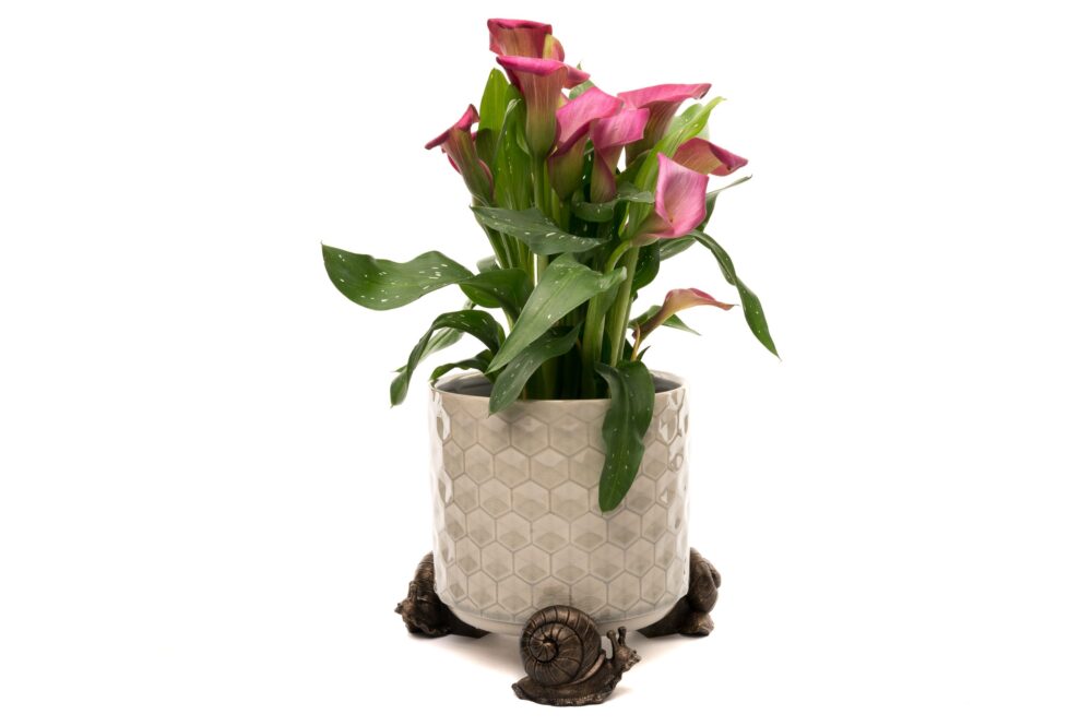 Snail Potty Feet and Pot Buddy Bundle Set - Image 5
