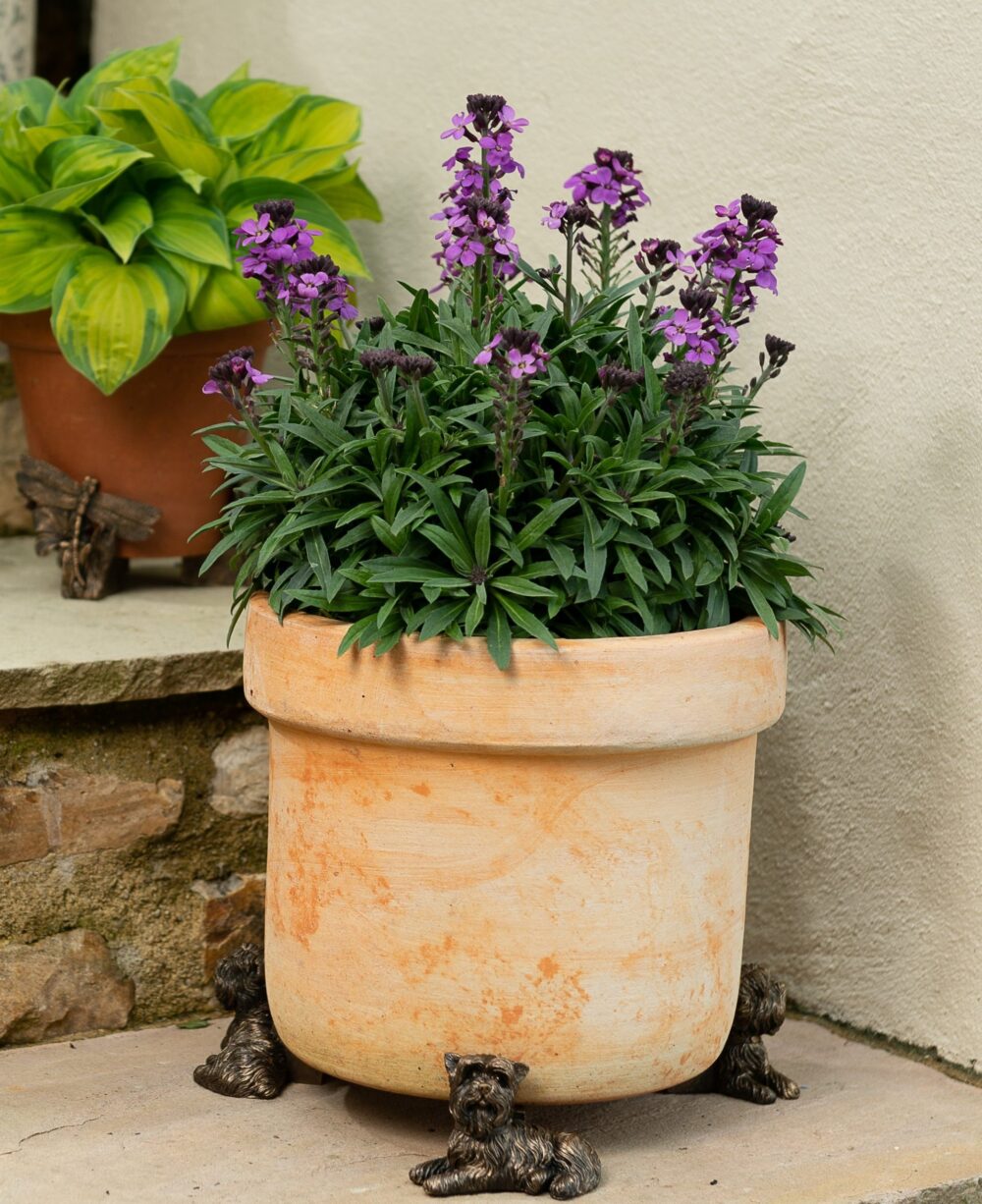 Yorkshire Terrier Plant Pot Feet - Set of 3