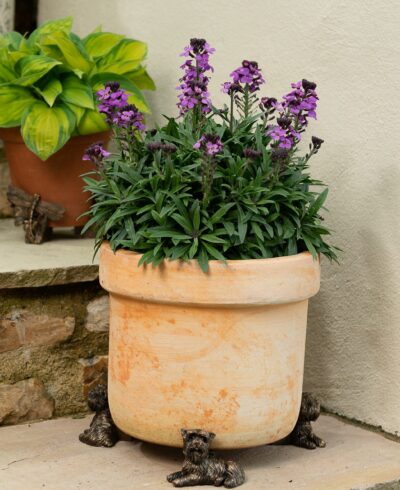 Yorkshire Terrier Plant Pot Feet - Set of 3