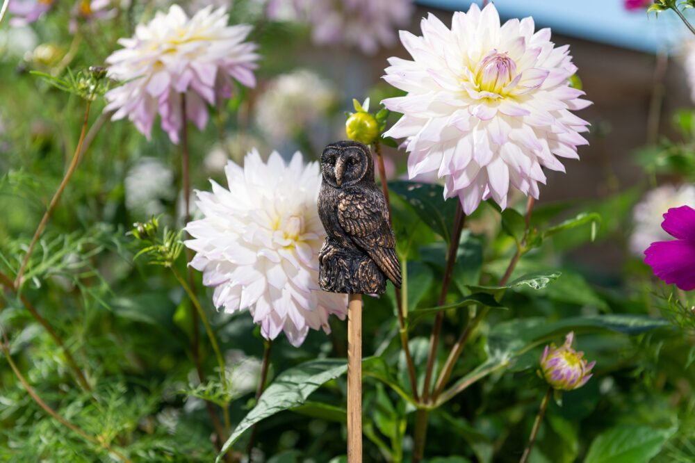 Owl Potty Feet and Cane Companion Bundle Set - Image 7