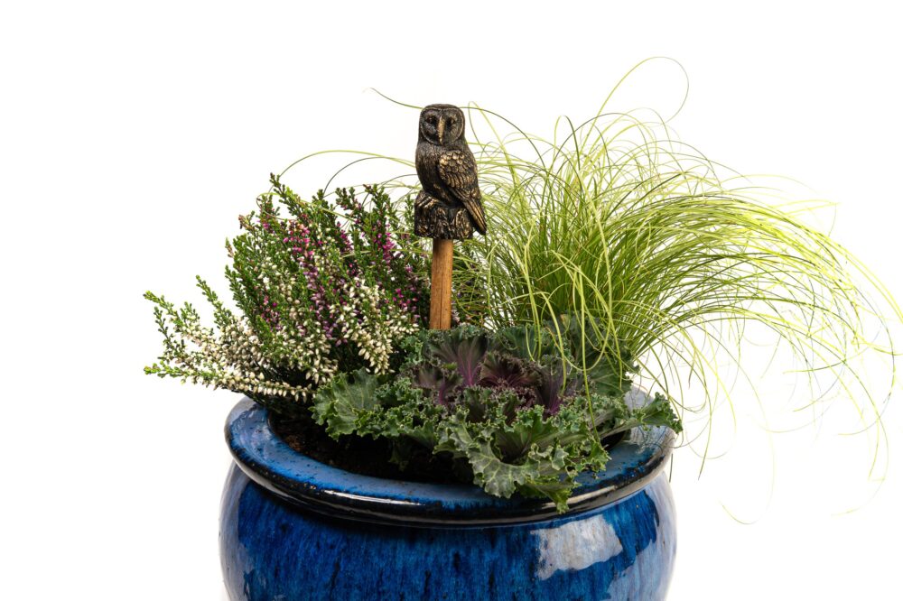 Owl Potty Feet and Cane Companion Bundle Set - Image 5