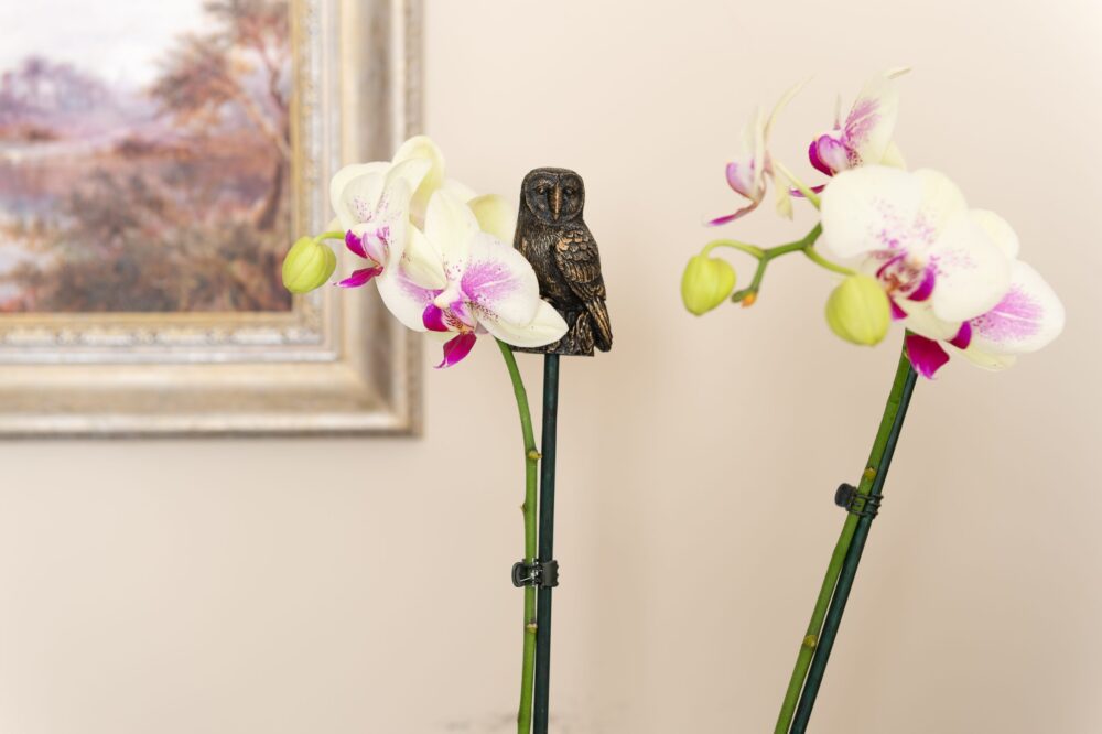 Owl Potty Feet and Cane Companion Bundle Set - Image 6