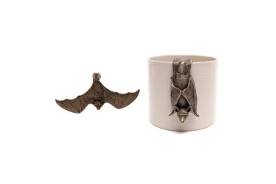 Hanging Bat & Bat With Wings Open