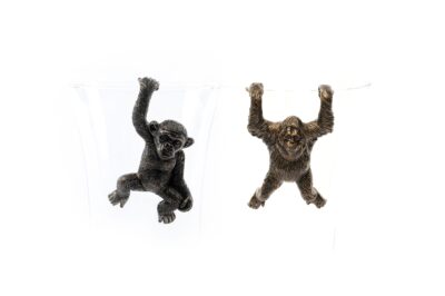 Chimpanzee & Orangutan