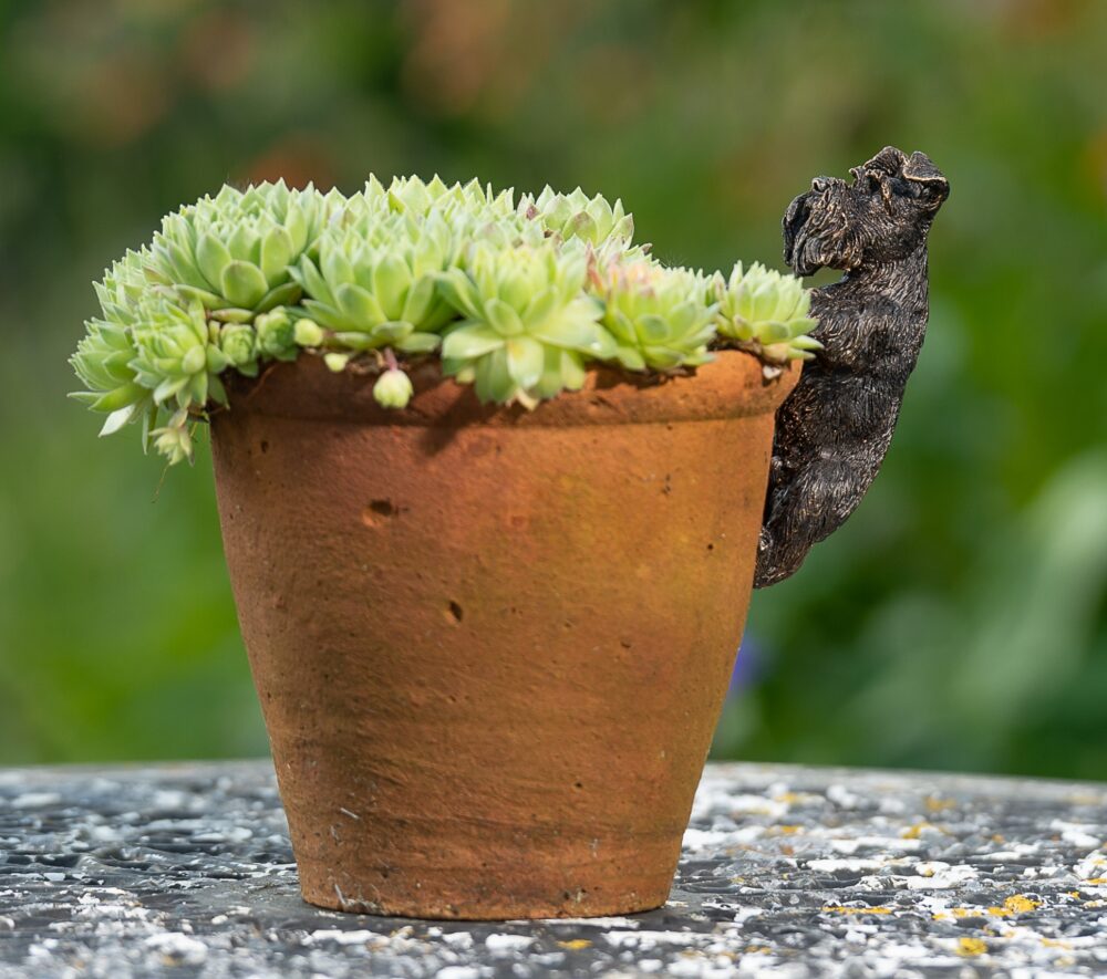 Antique Bronze Coloured Schnauzer Pot Buddy Plant Pot Hanger - Image 4