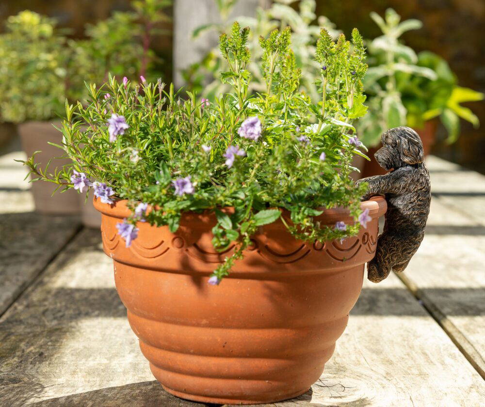 Antique Bronze Coloured Cockapoo Pot Buddy Plant Pot Hanger - Image 8