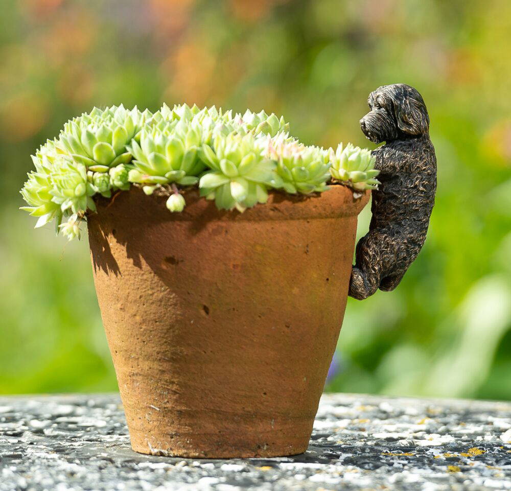 Antique Bronze Coloured Cockapoo Pot Buddy Plant Pot Hanger - Image 7