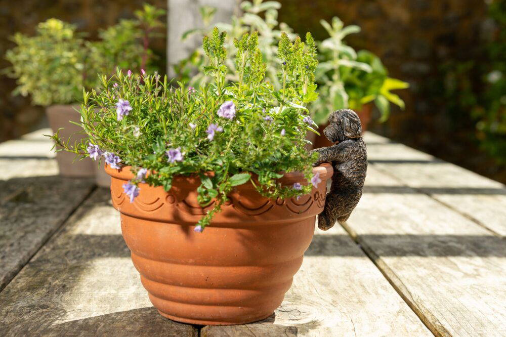 Antique Bronze Coloured Cockapoo Pot Buddy Plant Pot Hanger - Image 3