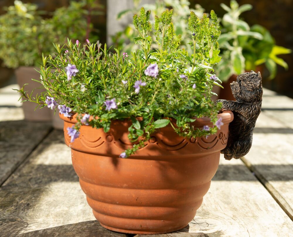 Antique Bronze Coloured West Highland Terrier Pot Buddy Plant Pot Hanger - Image 7