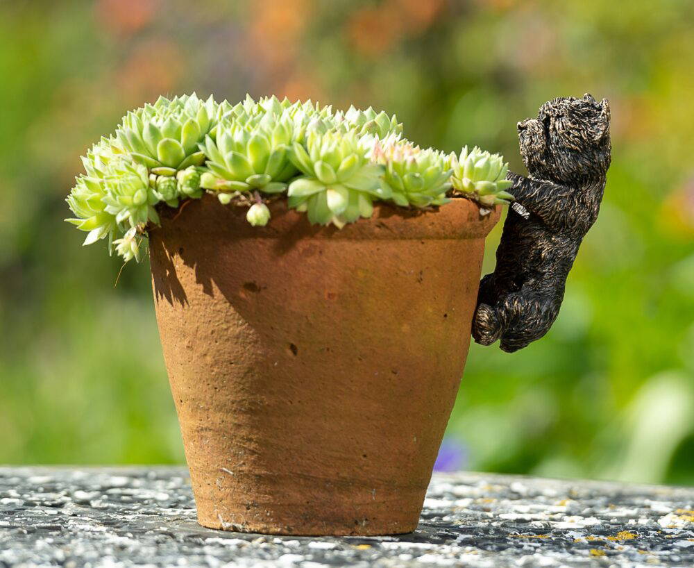 Antique Bronze Coloured West Highland Terrier Pot Buddy Plant Pot Hanger - Image 9