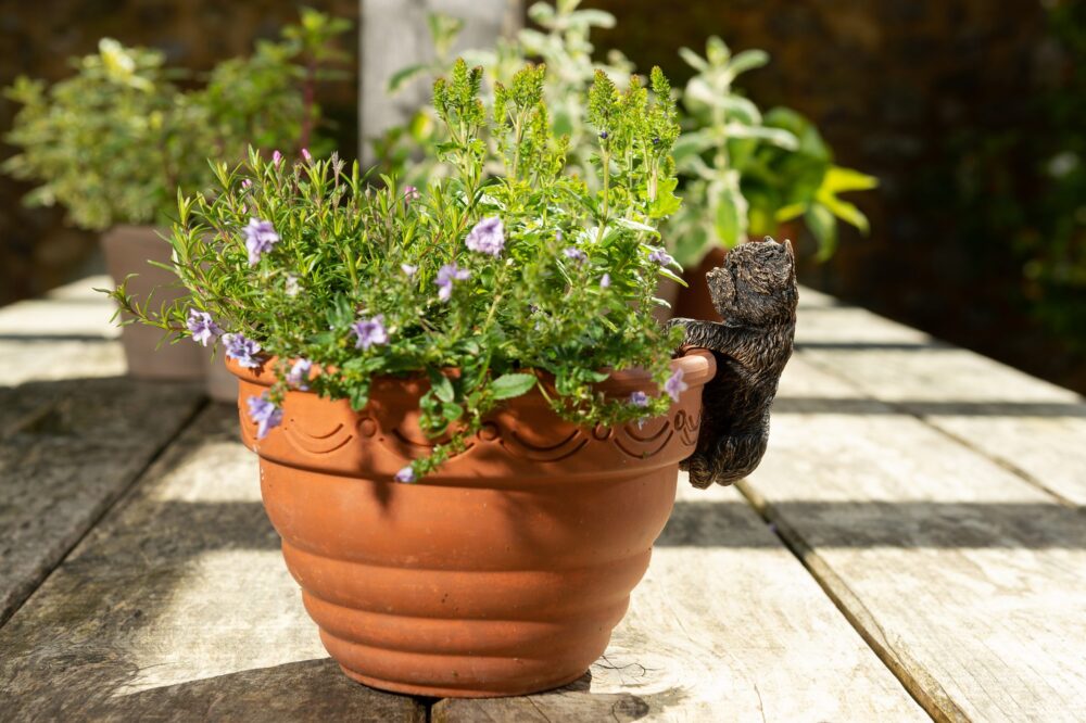 Antique Bronze Coloured West Highland Terrier Pot Buddy Plant Pot Hanger - Image 11