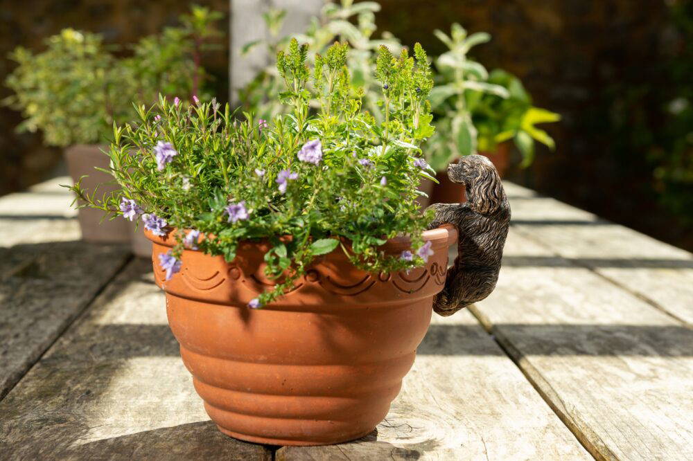Antique Bronze Coloured Cavalier King Charles Spaniel Pot Buddy Plant Pot Hanger - Image 6