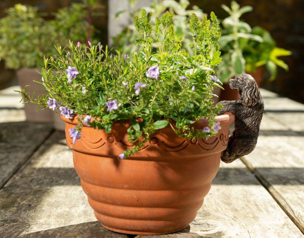 Antique Bronze Coloured Cavalier King Charles Spaniel Pot Buddy Plant Pot Hanger - Image 5