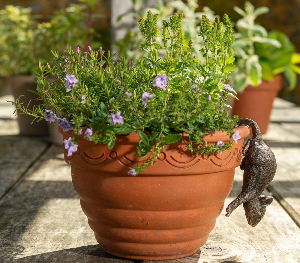 Antique Bronze Coloured Mouse Pot Buddy Plant Pot Hanger - Image 12
