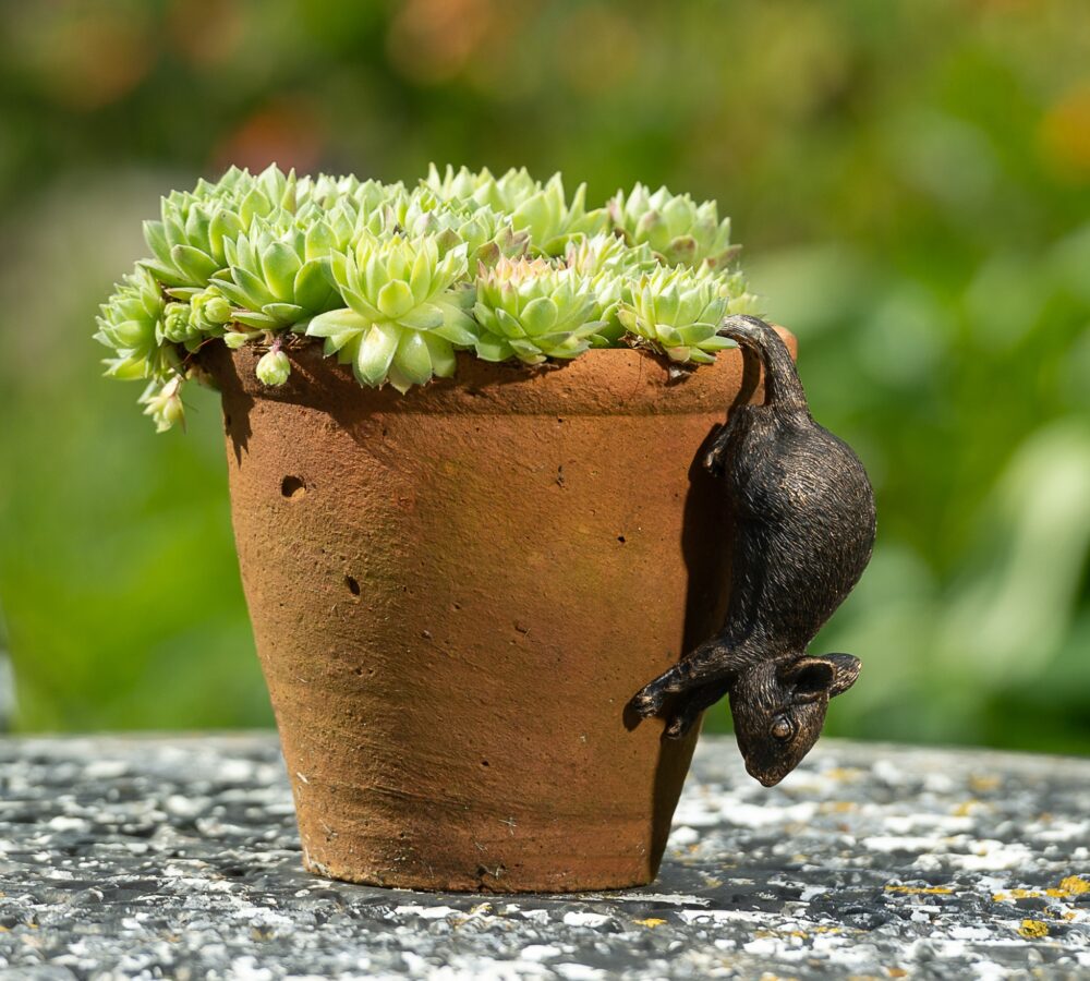 Antique Bronze Coloured Mouse Pot Buddy Plant Pot Hanger - Image 7