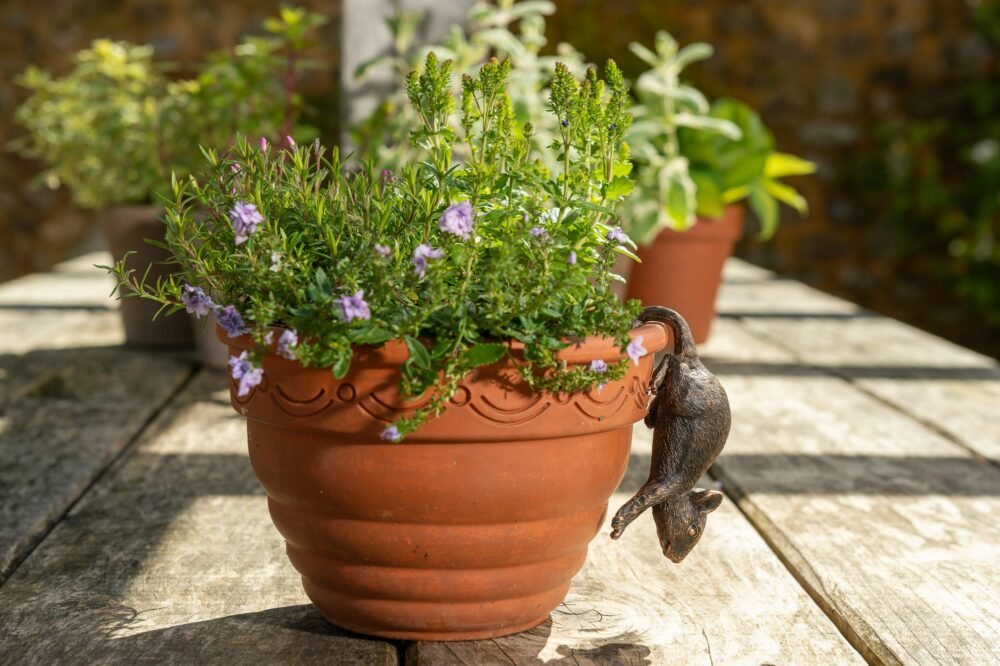 Antique Bronze Coloured Mouse Pot Buddy Plant Pot Hanger - Image 8