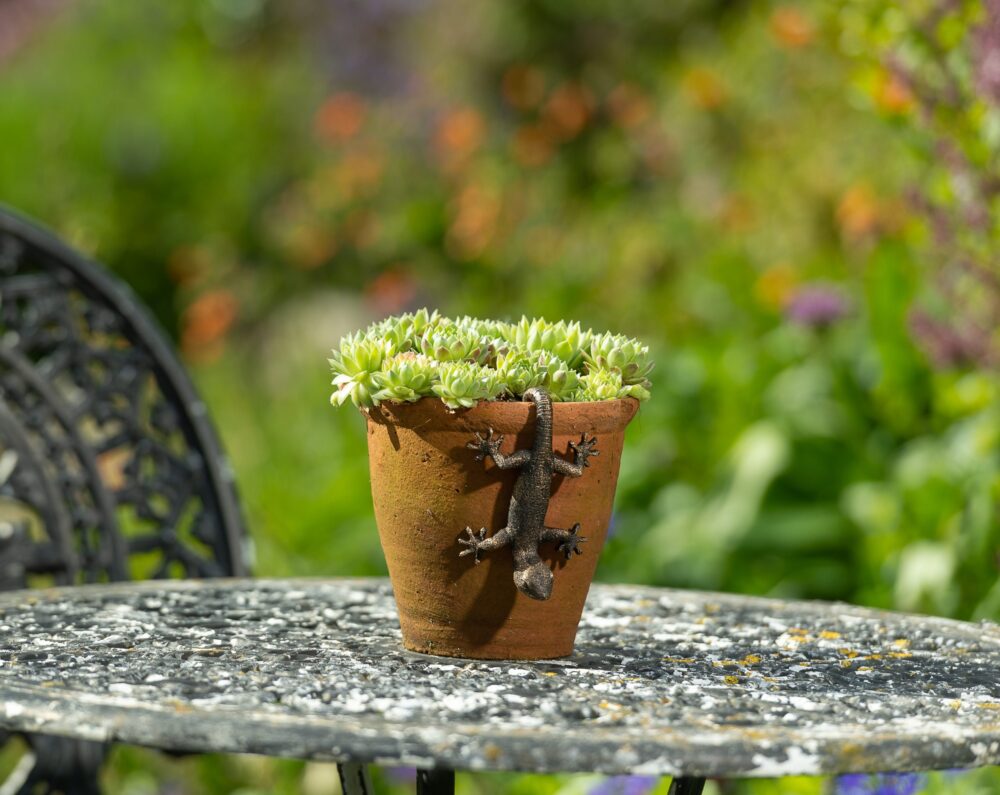 Antique Bronze Coloured Gecko Pot Buddy Plant Pot Hanger - Image 9