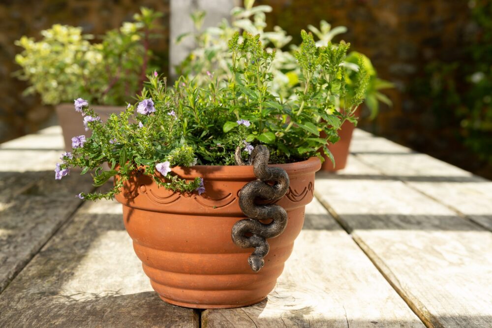 Antique Bronze Coloured Boa Constrictor Pot Buddy Plant Pot Hanger - Image 10