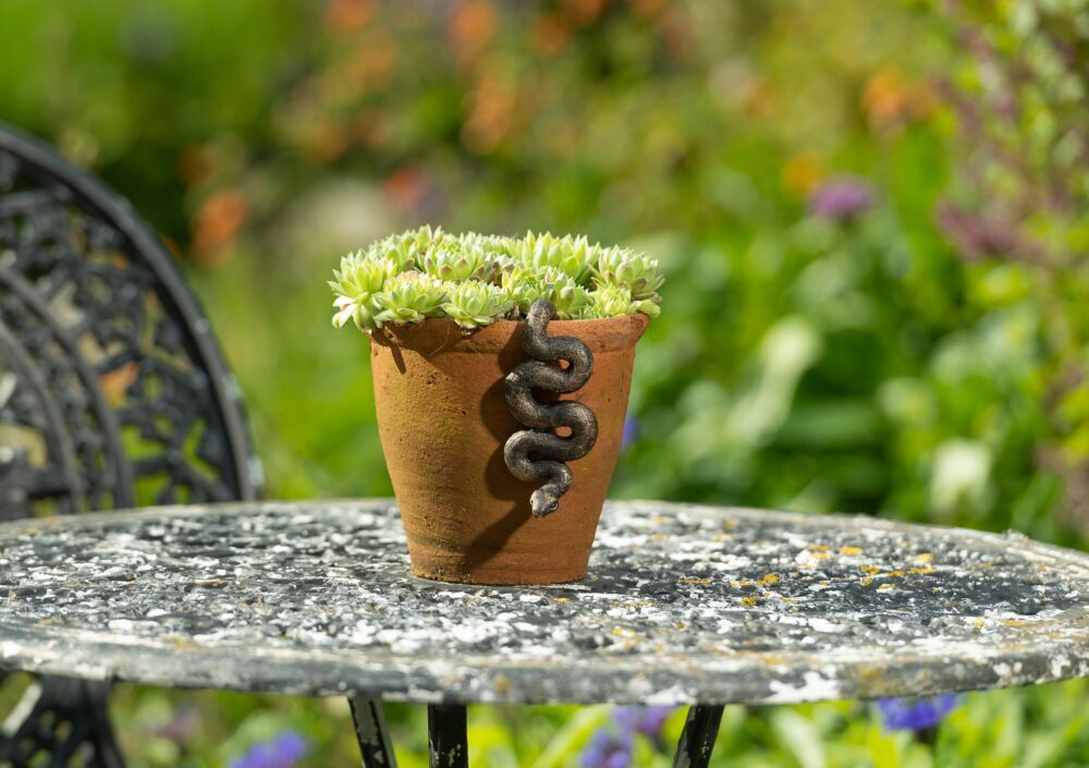 Antique Bronze Coloured Boa Constrictor Pot Buddy Plant Pot Hanger - Image 9