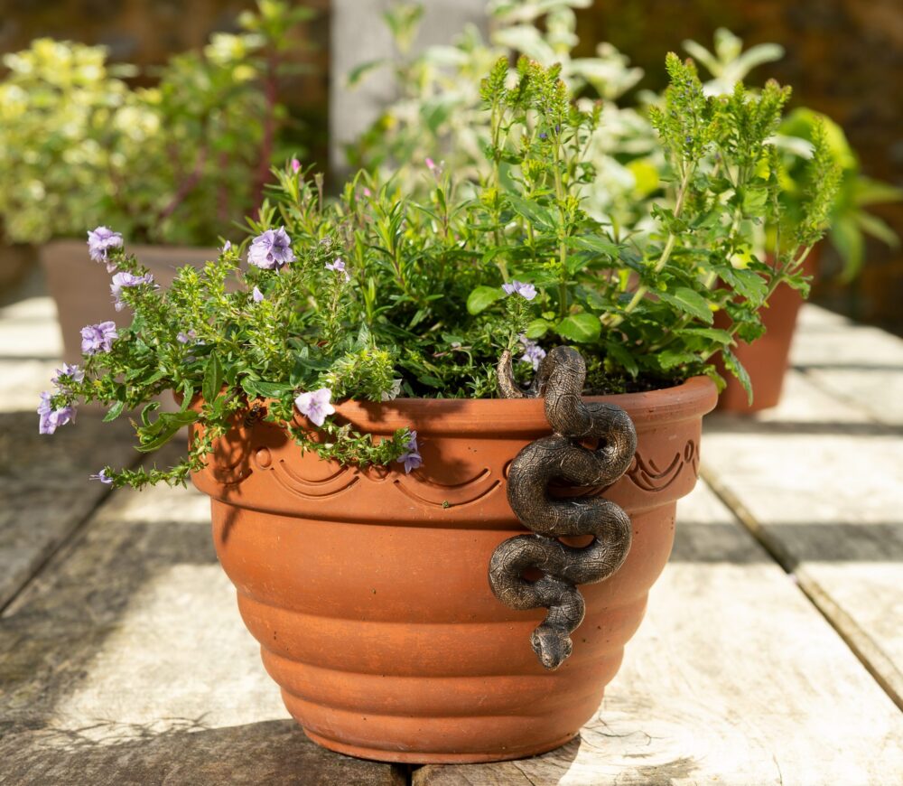 Antique Bronze Coloured Boa Constrictor Pot Buddy Plant Pot Hanger - Image 11