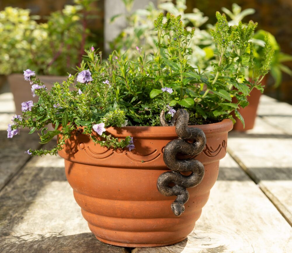 Antique Bronze Coloured Boa Constrictor Pot Buddy Plant Pot Hanger - Image 7