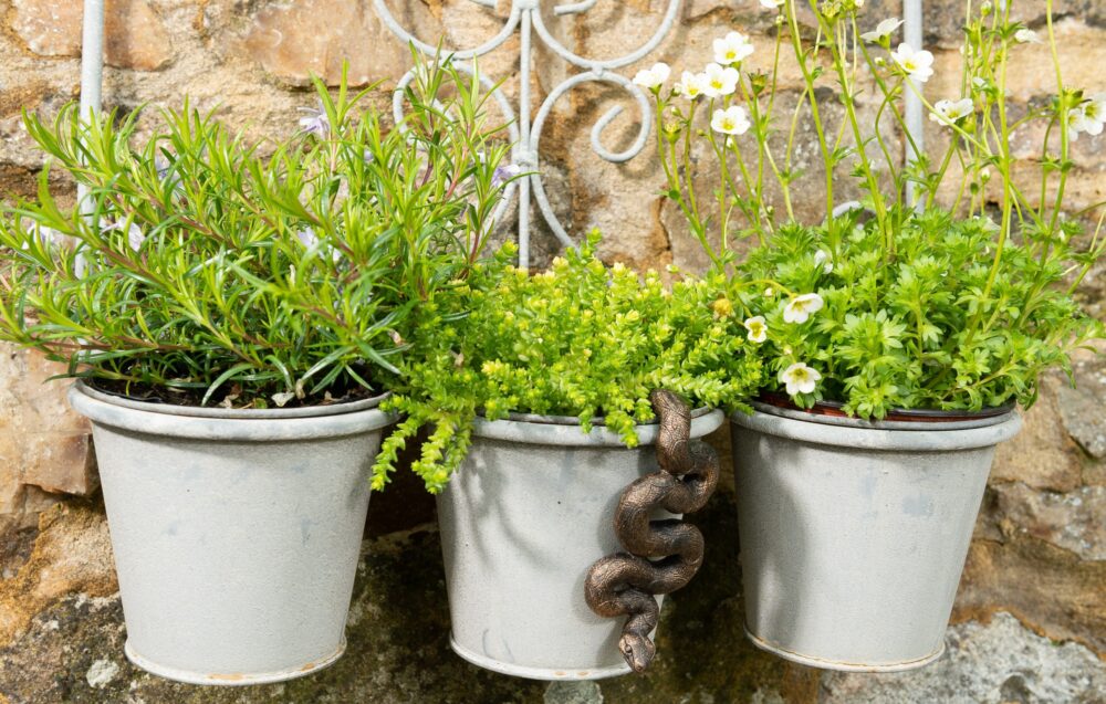 Antique Bronze Coloured Boa Constrictor Pot Buddy Plant Pot Hanger - Image 4