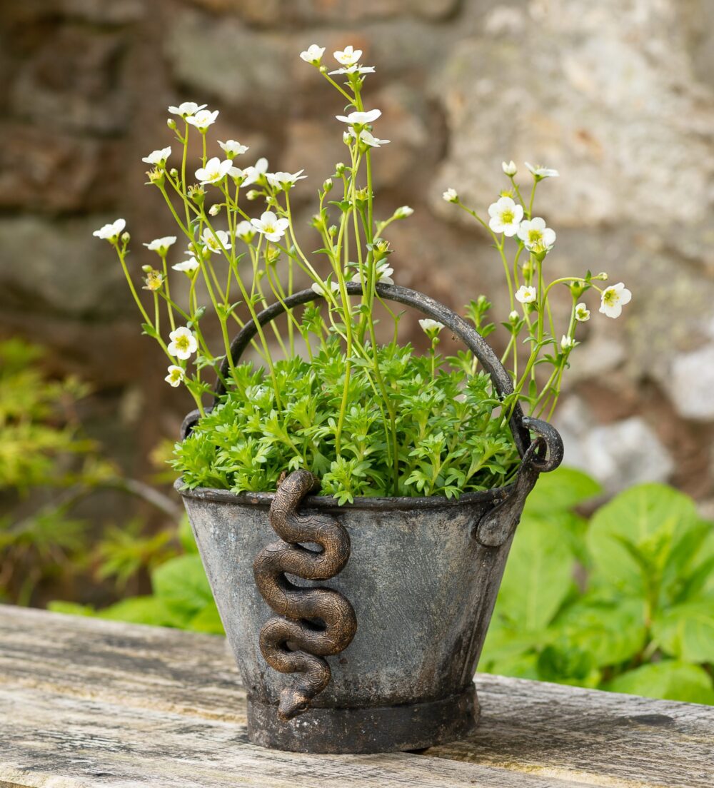 Antique Bronze Coloured Boa Constrictor Pot Buddy Plant Pot Hanger - Image 2