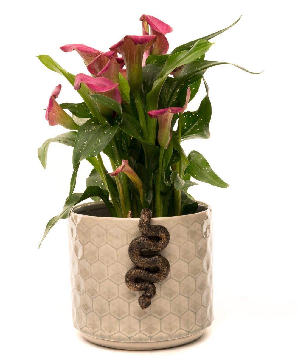Antique Bronze Coloured Boa Constrictor Pot Buddy Plant Pot Hanger - Image 12