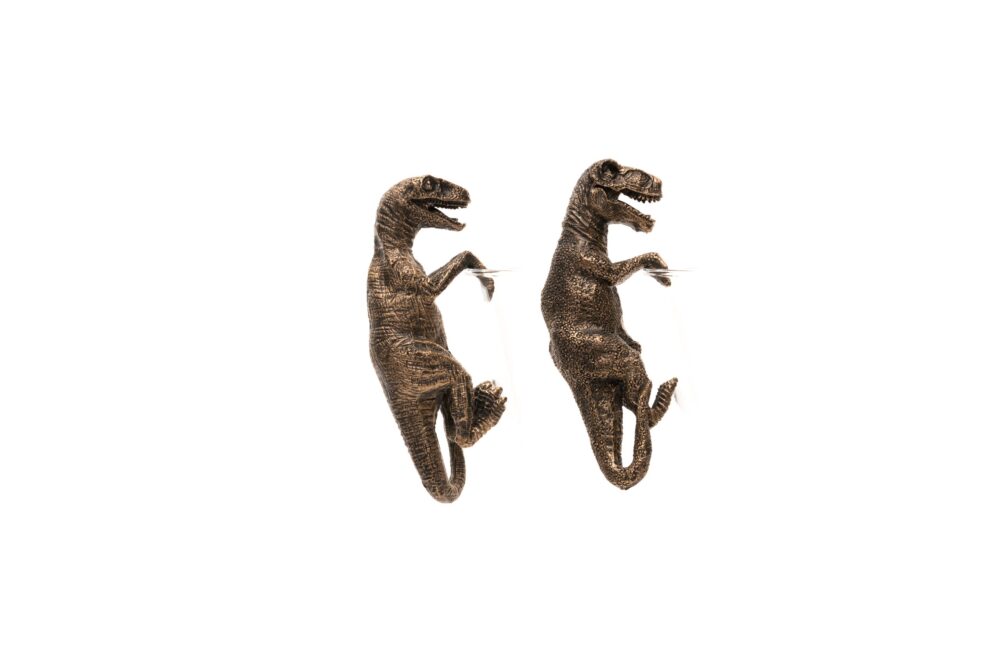 T-Rex & Velociraptor