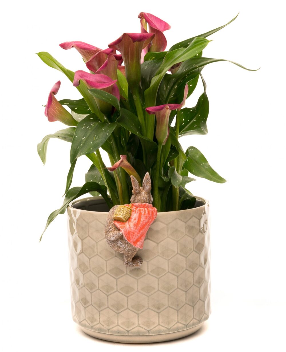 Beatrix Potter Flopsy Bunny Plant Pot Hanger - Image 2