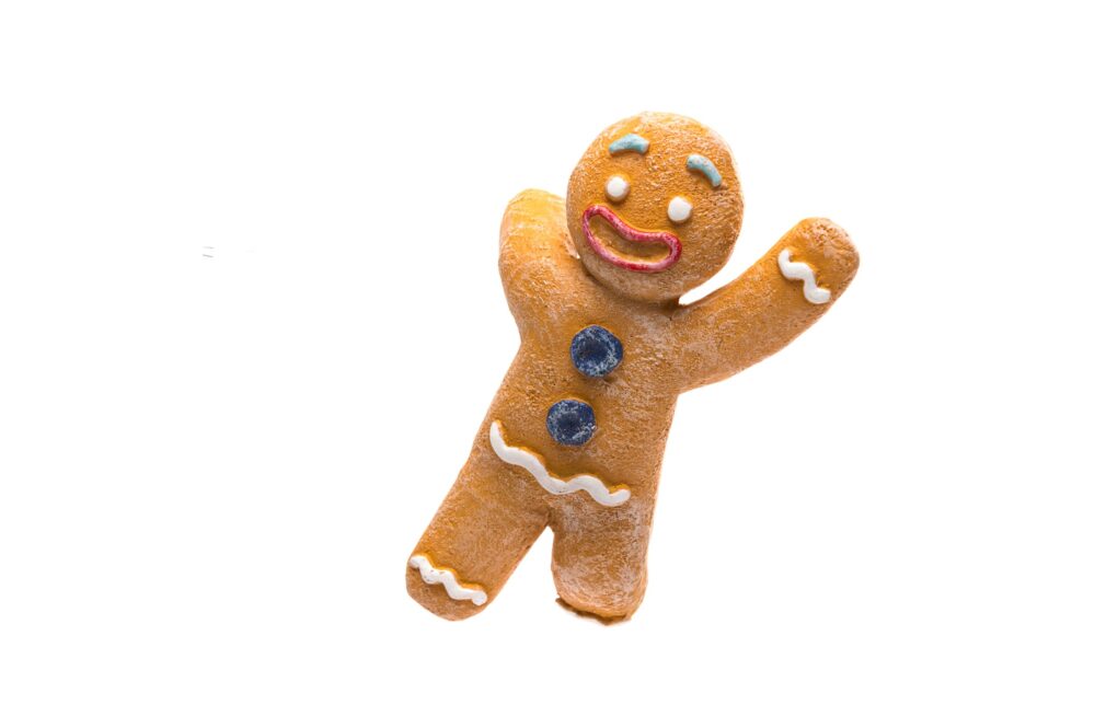 Pot Buddies Christmas Gingerbread Man Plant Pot Hanger - Image 2