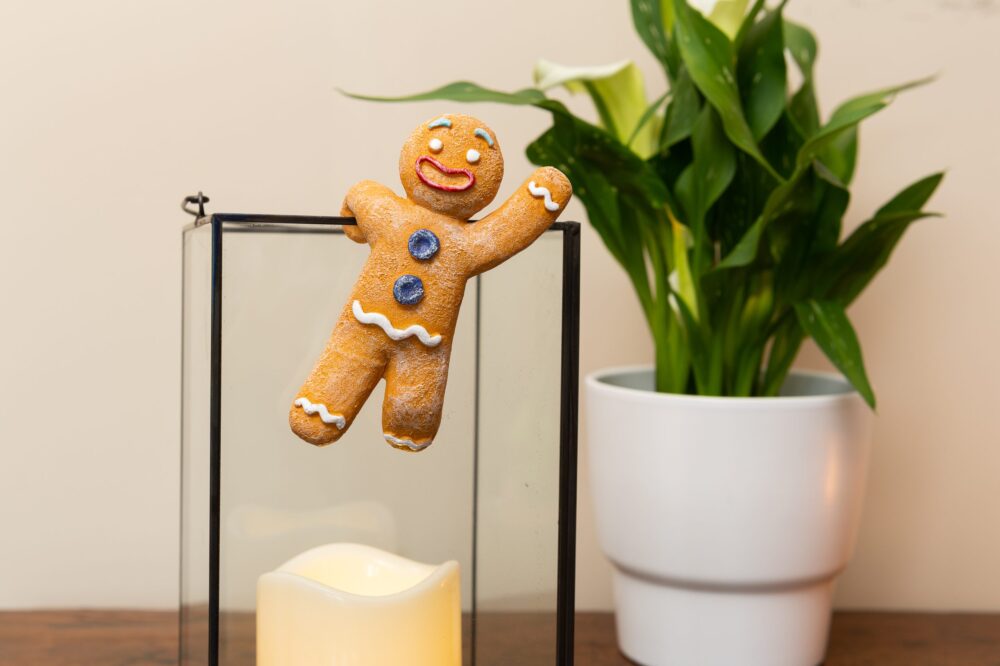 Christmas Set of 5 Pot Buddies - Image 16