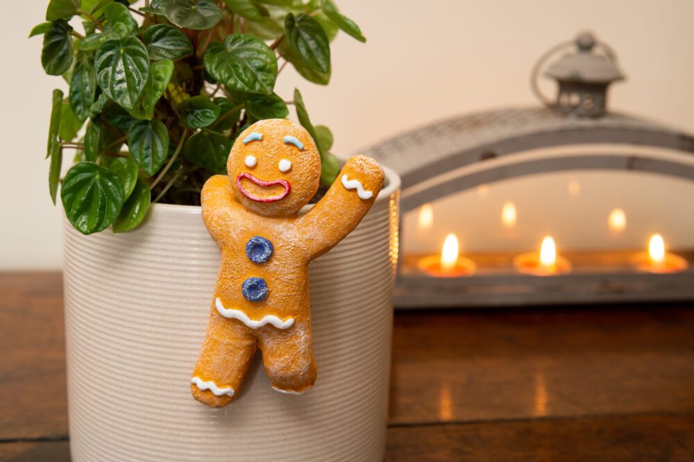 Christmas Set of 5 Pot Buddies - Image 15