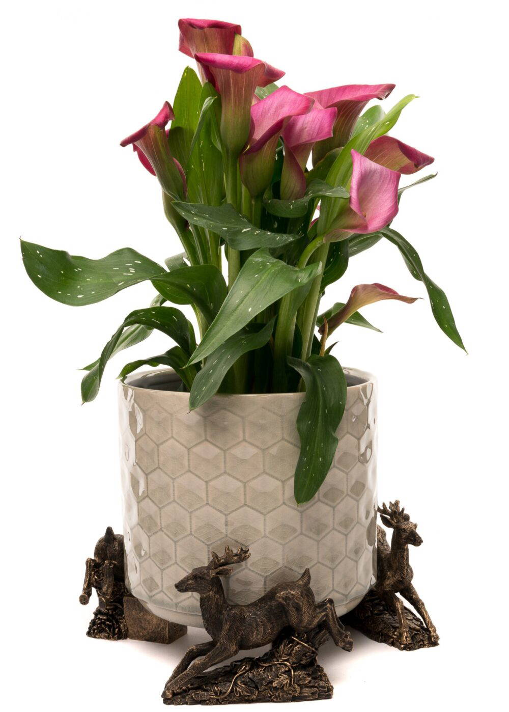 Leaping Stag Plant Pot Feet - Set of 3 - Image 4