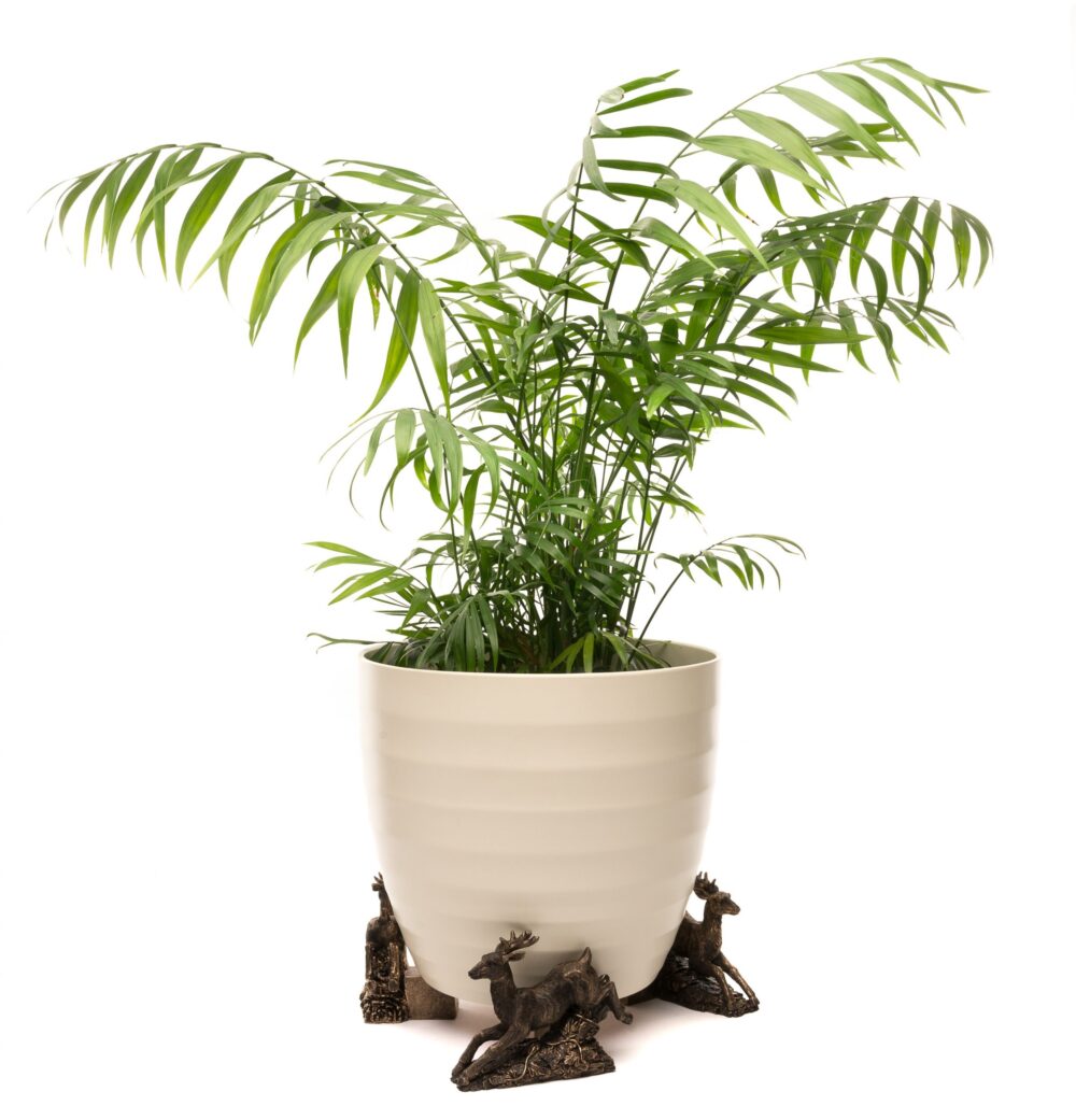 Leaping Stag Plant Pot Feet - Set of 3 - Image 2